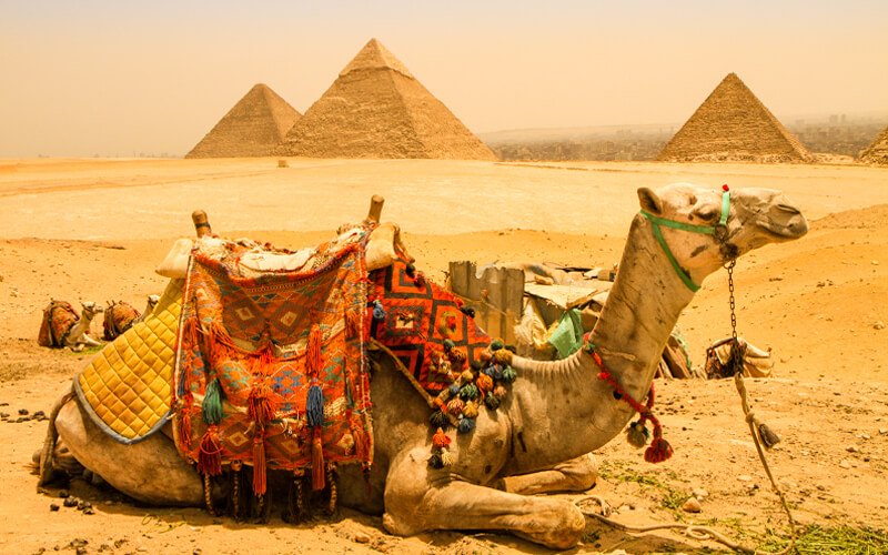 What to Pack for Your Egypt Trip: The Ultimate Checklist