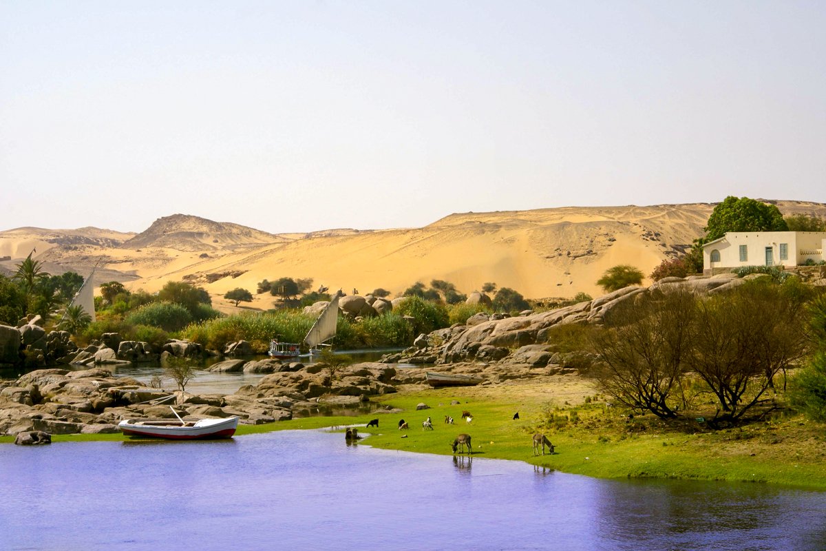 Felucca
