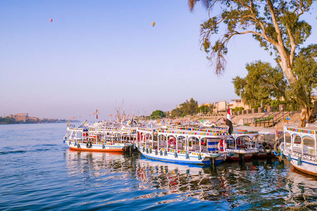 Felucca - gallery photo 3