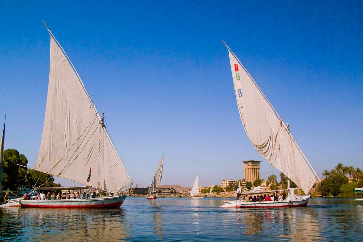 Felucca - gallery photo 4