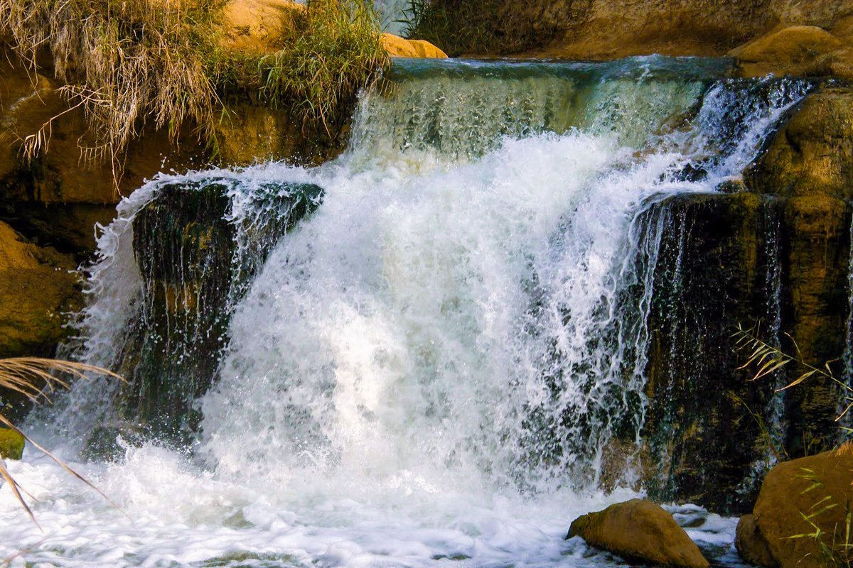 Fayoum - gallery photo 4